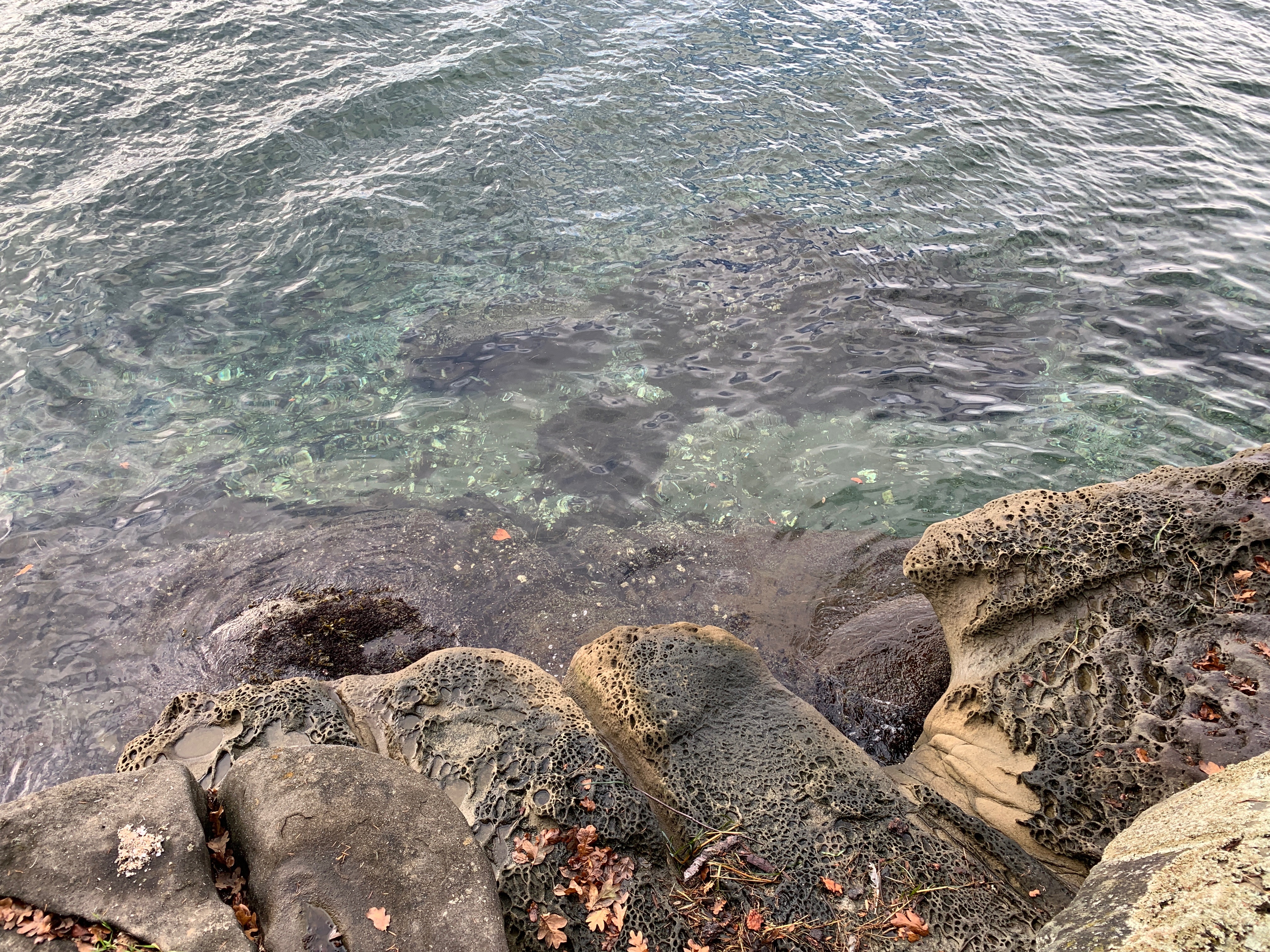 Coastal rocks