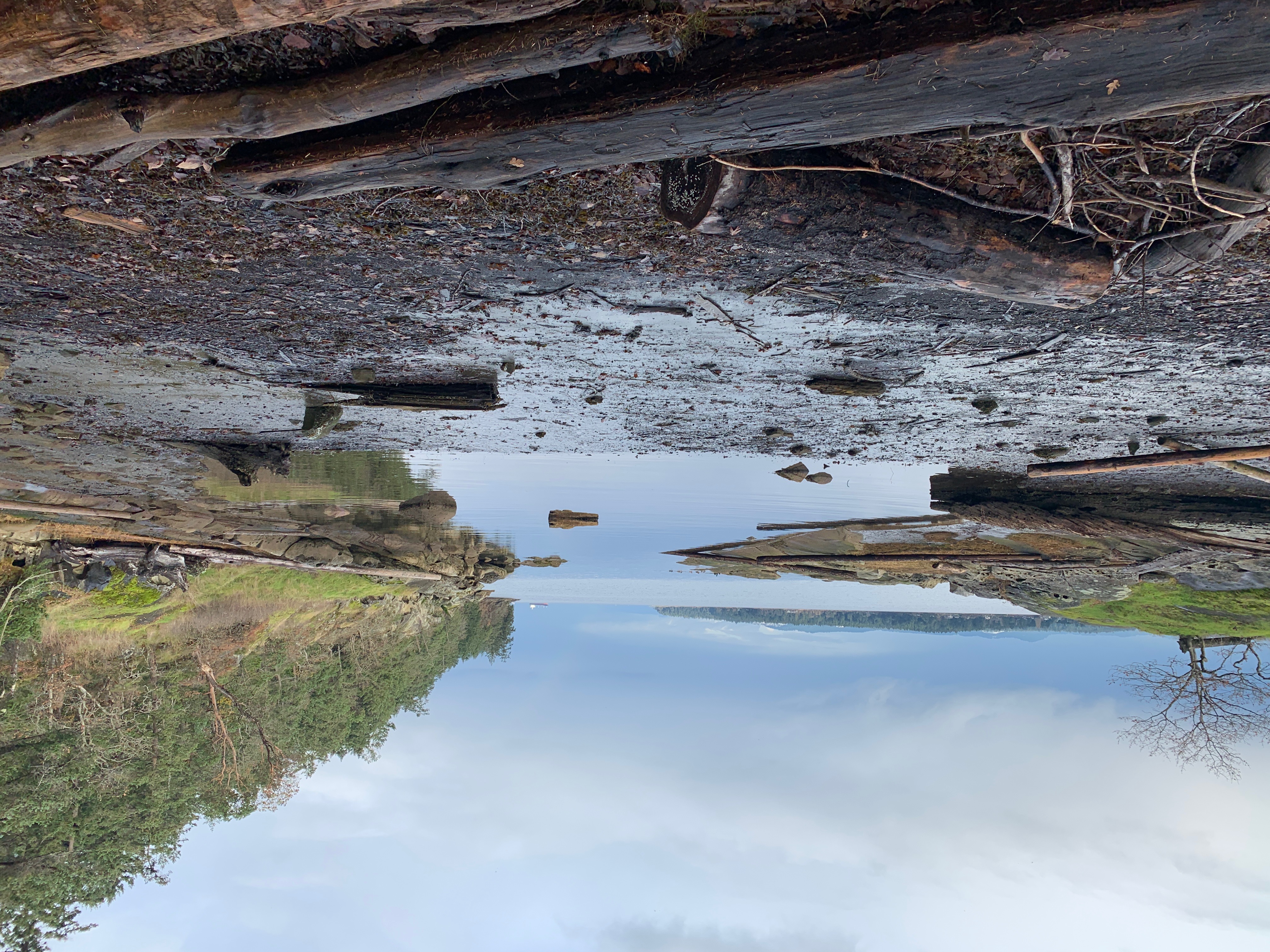 Shoreline